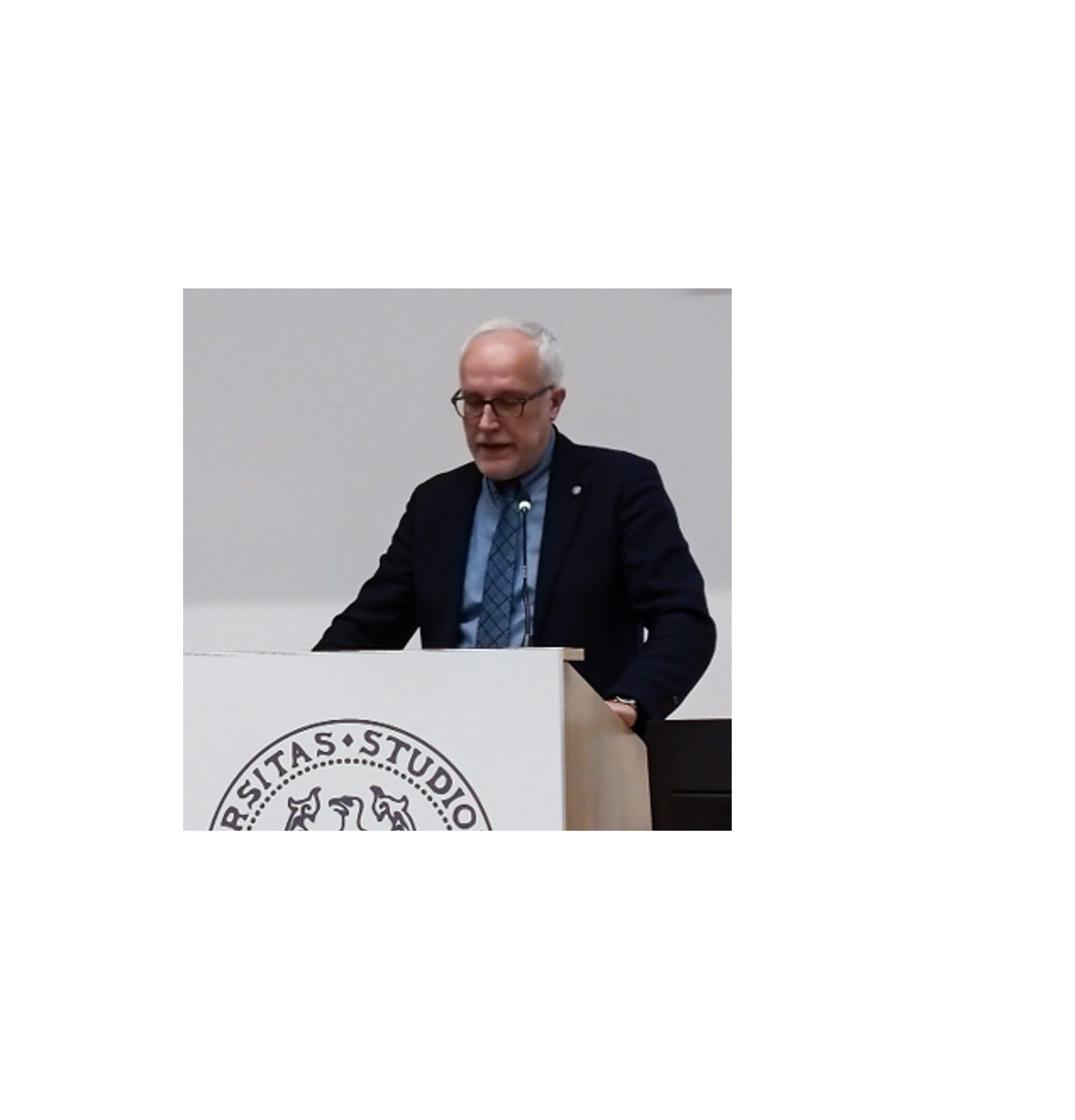 Prof. Ing. Stefano Grimaz